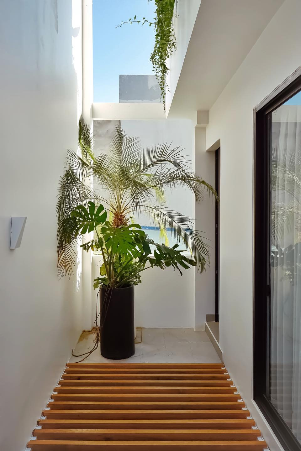 Cây xanh được đặt trong nhà, khiến gia chủ cảm thấy thư giãn hơn.