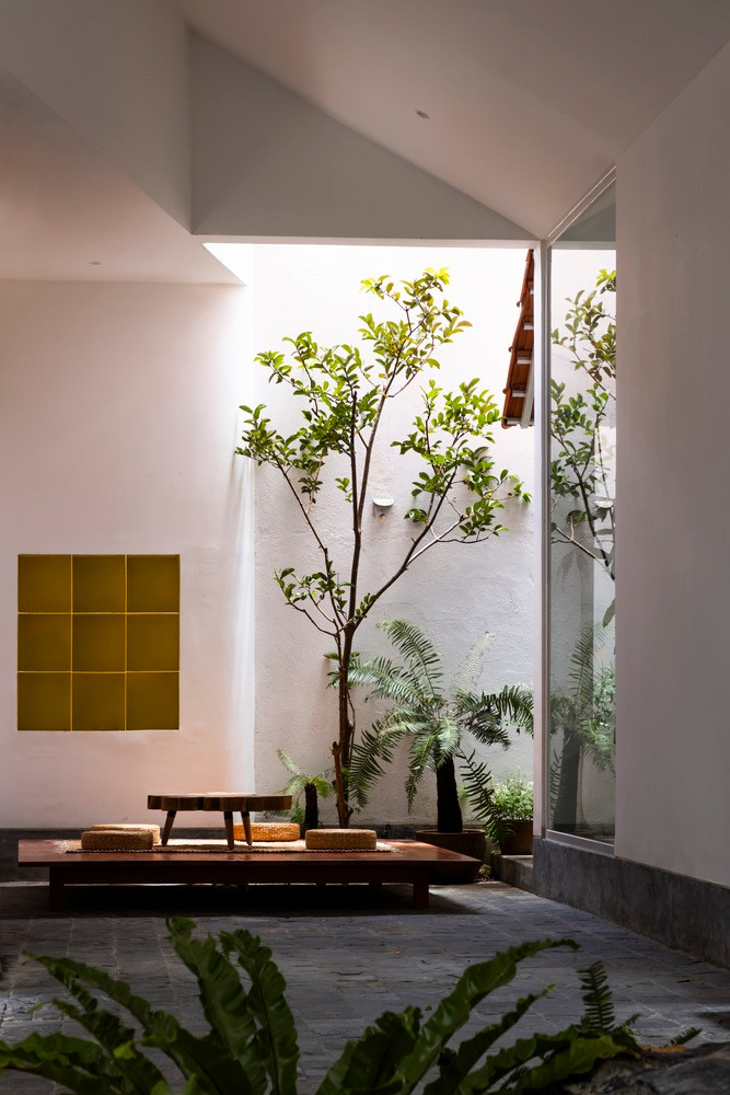 Cây xanh tạo cảm giác tươi mát và dễ chịu.