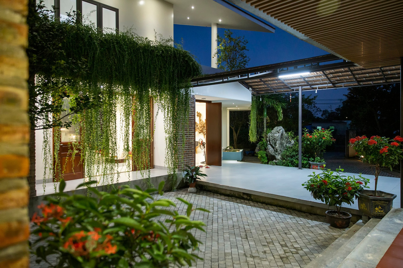 Hệ cây cúc tần treo như một rèm che tự nhiên.