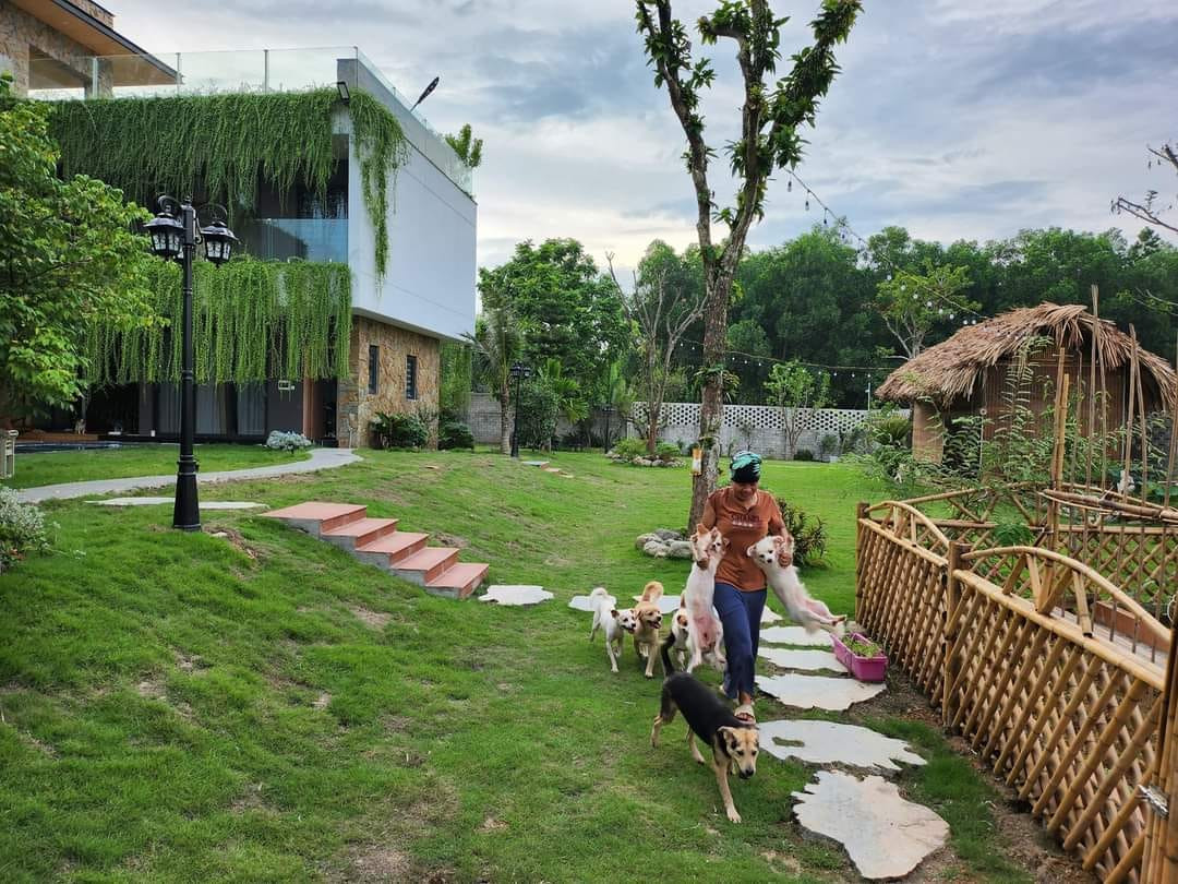 Hàng chục chú chó được chăm sóc trong căn biệt thự. Hàng chục chú chó được chăm sóc trong căn biệt thự.