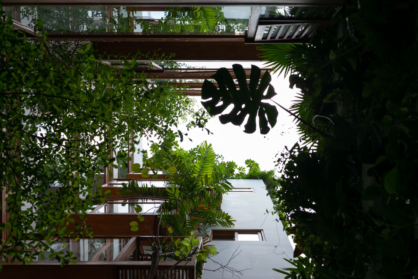 Cây xanh tạo không gian trong lành, giảm khói bụi cho căn hộ. Cây xanh tạo không gian trong lành, giảm khói bụi cho căn hộ.