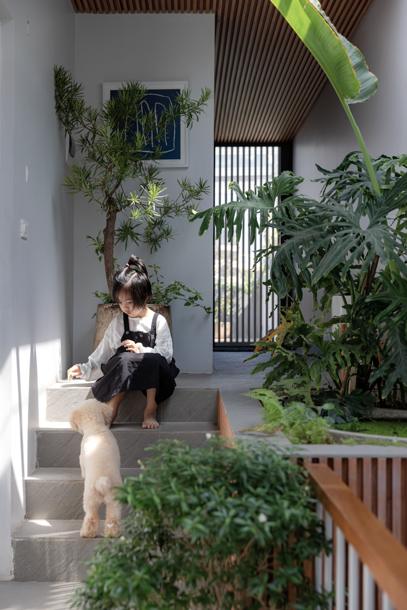 Những mảng xanh là một phần không thể thiếu trong nhà. Những mảng xanh là một phần không thể thiếu trong nhà.