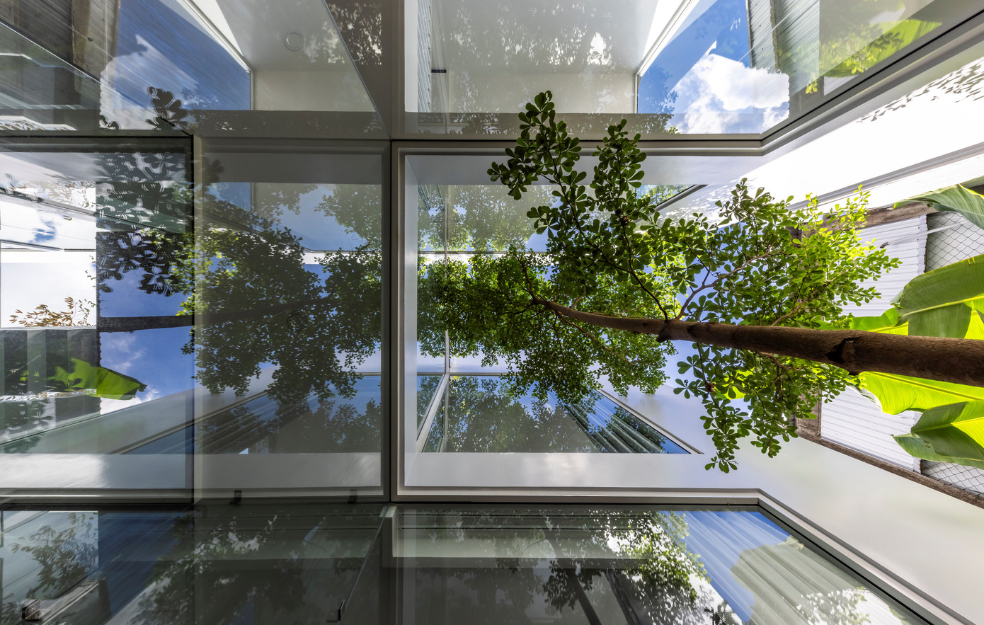 Cây xanh trở thành một phần không thể thiếu trong ngôi nhà.