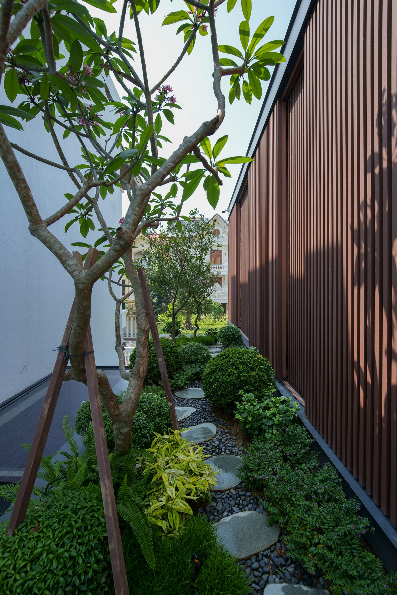 Cây xanh tạo bóng mát xung quanh ngôi nhà.