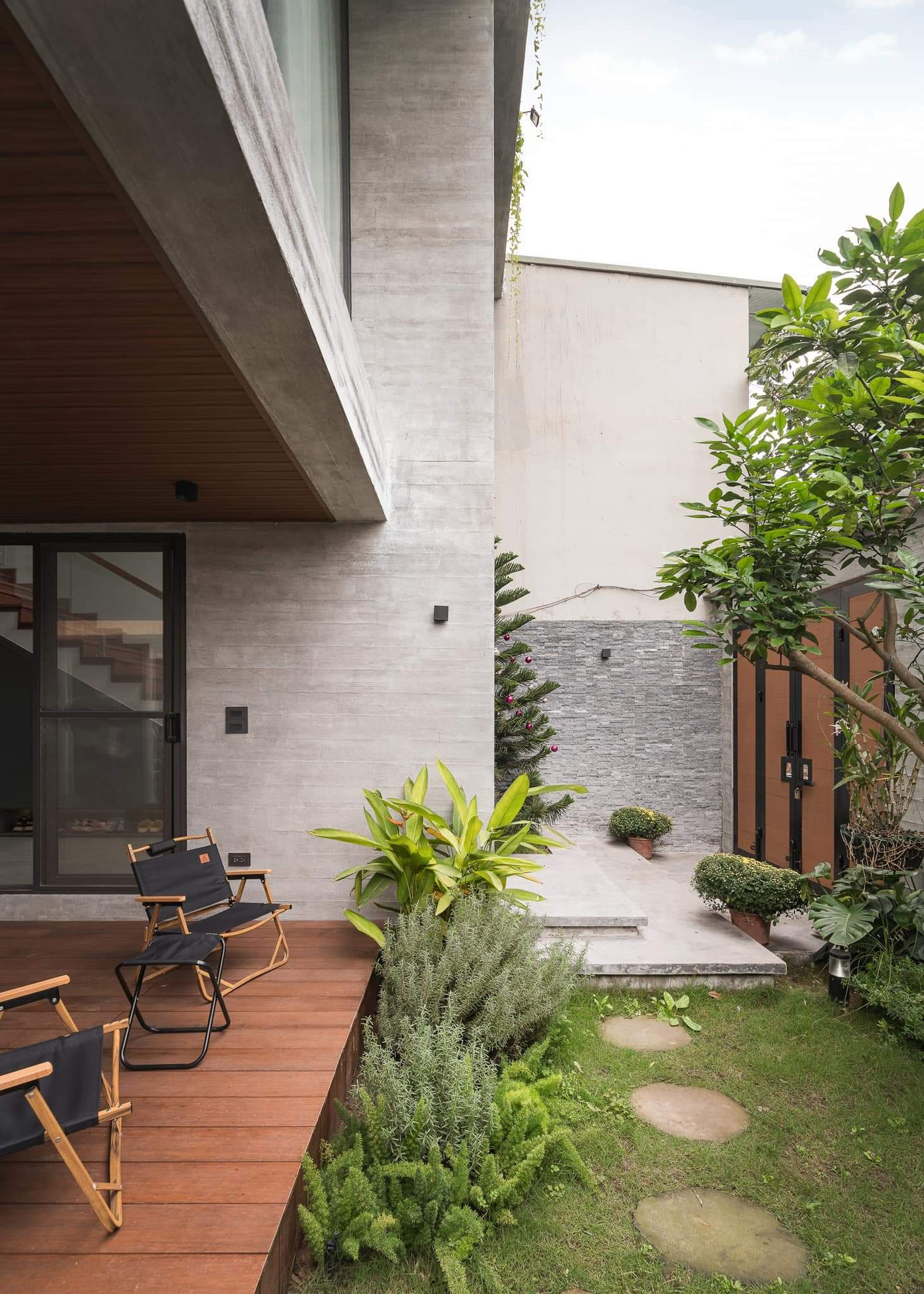 Thực vật lá xanh được gia chủ yêu thích với ưu điểm dễ chăm sóc. Thực vật lá xanh được gia chủ yêu thích với ưu điểm dễ chăm sóc.