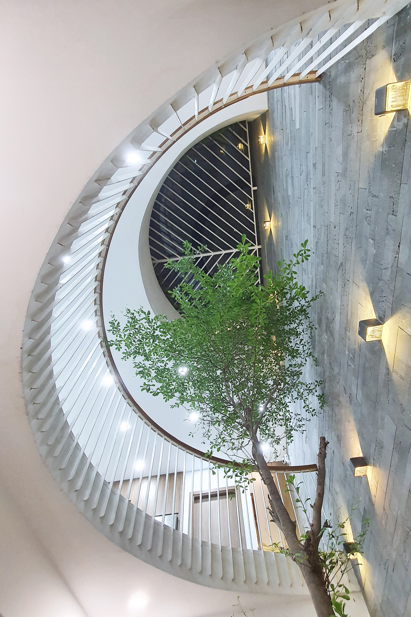 Khoảng thông tầng hình dáng vòm cung kết nối các tầng với nhau.