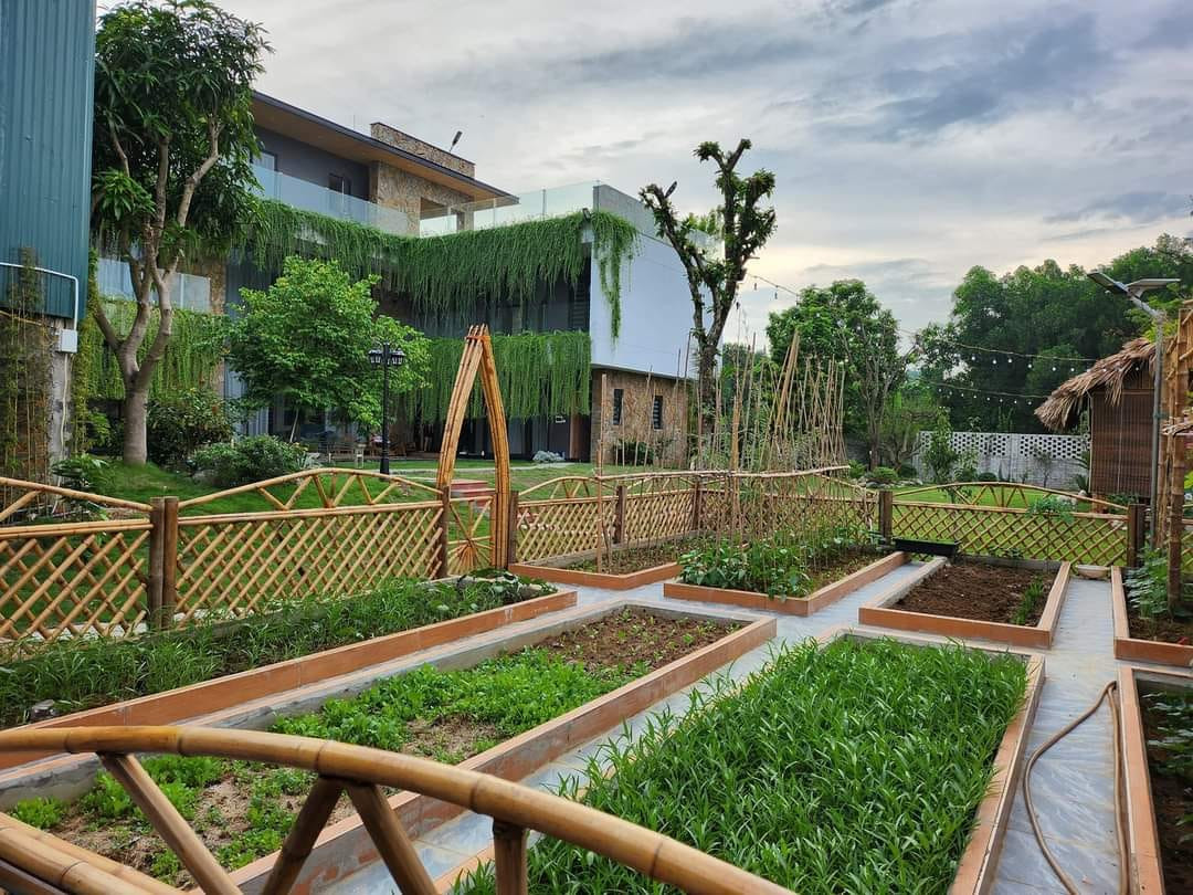 Gia chủ mong muốn có một khu vườn trồng rau sử dụng hệ thống tưới tiêu tự động để tiết kiệm thời gian và công sức. Gia chủ mong muốn có một khu vườn trồng rau sử dụng hệ thống tưới tiêu tự động để tiết kiệm thời gian và công sức.