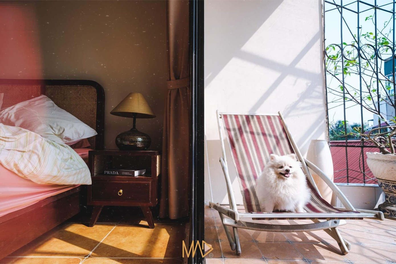 Phòng ngủ được mở rộng hơn, có cả không gian để hứng nắng.