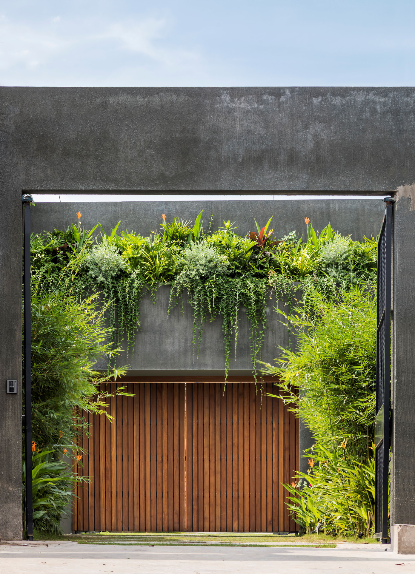 Ngay từ cổng vào đã thấy nhiều cây xanh bao quanh ngôi nhà.