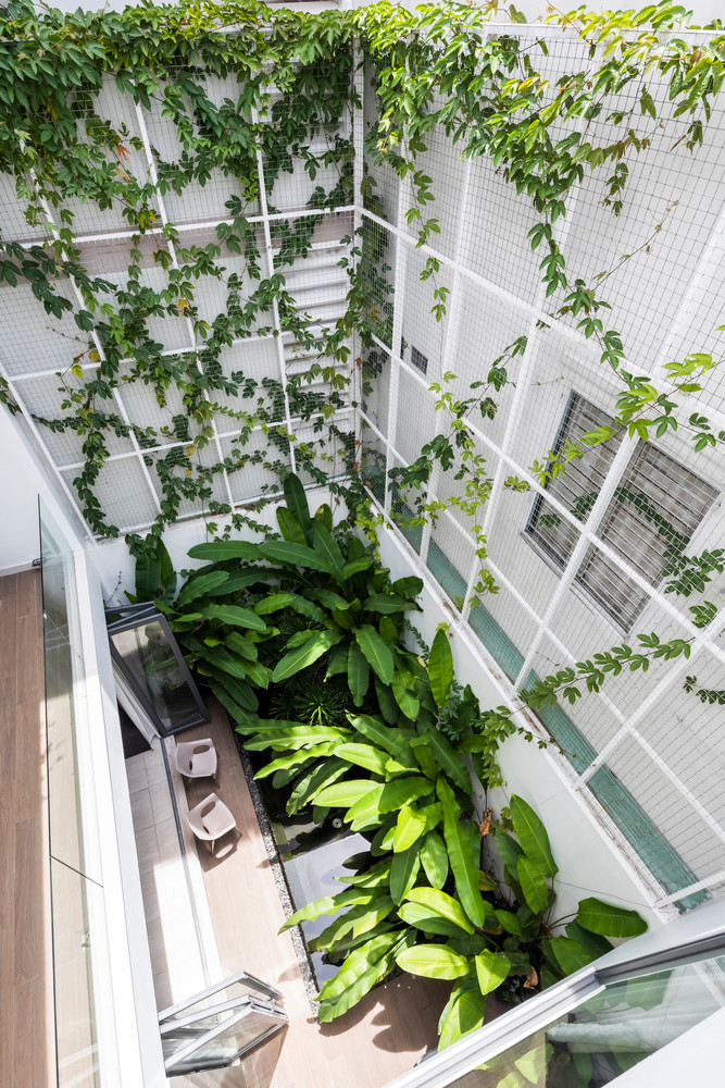 Giàn dây leo lên được trang trí phía sau tầng 2 và 3, tạo khung cảnh xanh cho các phòng ngủ.