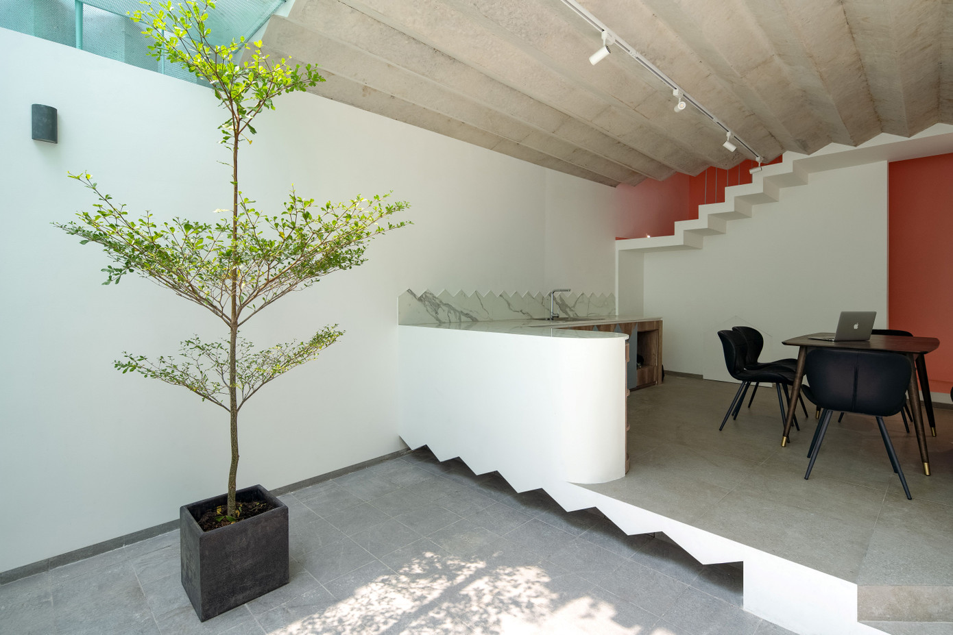 Cây xanh điểm xuyết trong ngôi nhà, tạo không khí trong lành. Cây xanh điểm xuyết trong ngôi nhà, tạo không khí trong lành.