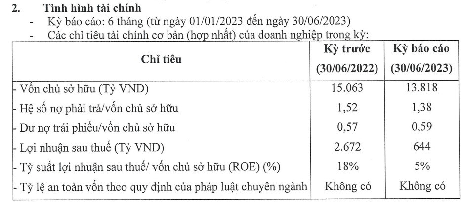 Tình hình tài chính 6 tháng đầu năm của công ty Phú Mỹ Hưng.