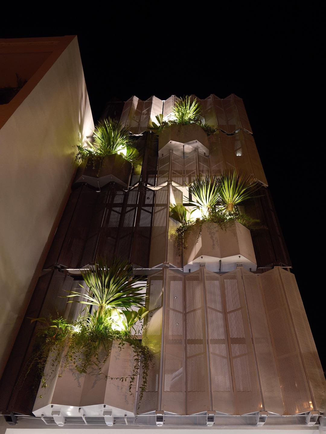 Những cụm cây xanh nhô ra như mọc từ lưng chừng một tảng đá.