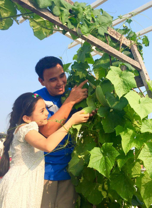 Hai vườn rau sạch của Công Vinh, Quyền Linh ảnh 10