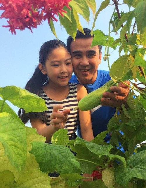 Hai vườn rau sạch của Công Vinh, Quyền Linh ảnh 9