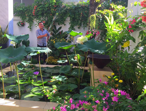 Hai vườn rau sạch của Công Vinh, Quyền Linh ảnh 1