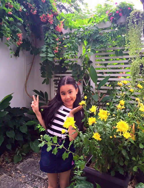 Hai vườn rau sạch của Công Vinh, Quyền Linh ảnh 5