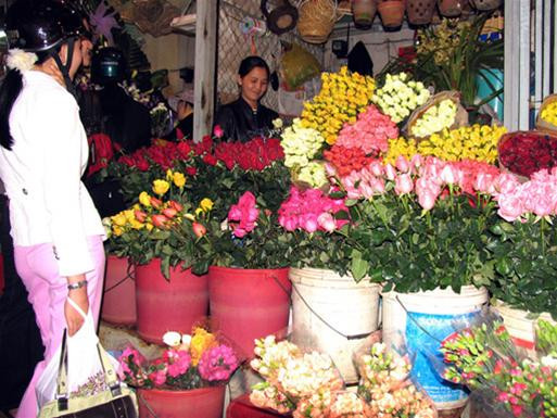 Hoa hồng tăng giá vùn vụt