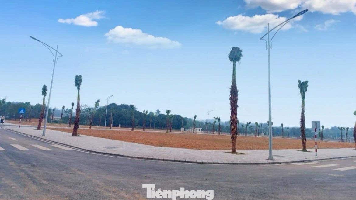 Chuyên gia dự báo, sắp tới thị trường sẽ có thể xuất hiện một lượng lớn sản phẩm đất nền diện tích lớn, đến từ những nhà đầu tư ôm đất với mục đích phân lô, tách thửa kiếm lời rao bán và để thanh khoản, thoát hàng thì nhà đầu tư sẽ phải chấp nhận bán cắt lỗ. (Ảnh: Lộc Liên)