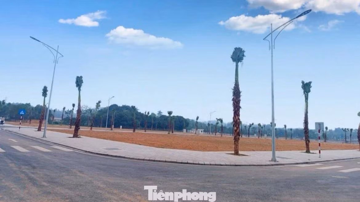 Chuyên gia dự báo, sắp tới thị trường sẽ có thể xuất hiện một lượng lớn sản phẩm đất nền diện tích lớn, đến từ những nhà đầu tư ôm đất với mục đích phân lô, tách thửa kiếm lời rao bán và để thanh khoản, thoát hàng thì nhà đầu tư sẽ phải chấp nhận bán cắt lỗ. (Ảnh: Lộc Liên) Chuyên gia dự báo, sắp tới thị trường sẽ có thể xuất hiện một lượng lớn sản phẩm đất nền diện tích lớn, đến từ những nhà đầu tư ôm đất với mục đích phân lô, tách thửa kiếm lời rao bán và để thanh khoản, thoát hàng thì nhà đầu tư sẽ phải chấp nhận bán cắt lỗ. (Ảnh: Lộc Liên)