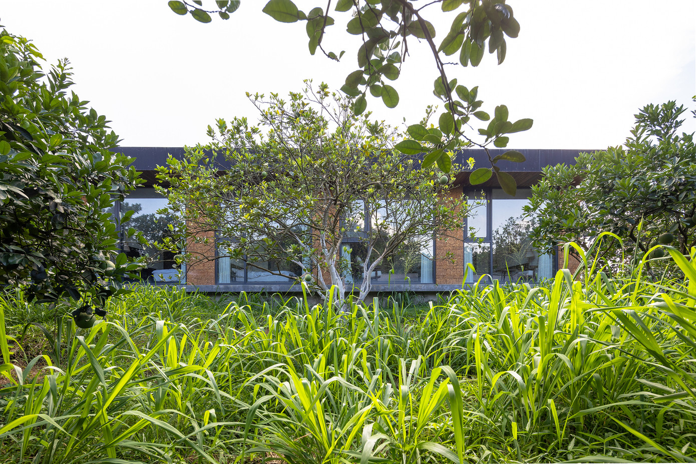 Kiến trúc sư cho rằng đây là một mẫu nhà nông thôn vừa tiết kiệm, vừa đẹp lại thân thiện với môi trường.