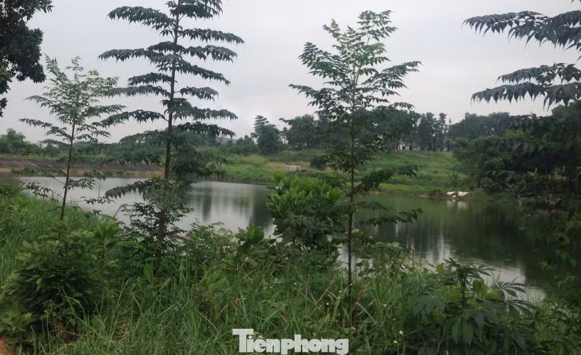 Sở TN&amp;MT Hà Nội sẽ đưa Dự án HTX Chăn nuôi Bình Minh (Thị xã Sơn Tây) vào Kế hoạch thanh tra trong thời gian tới. (Ảnh minh họa: Lập Đông)