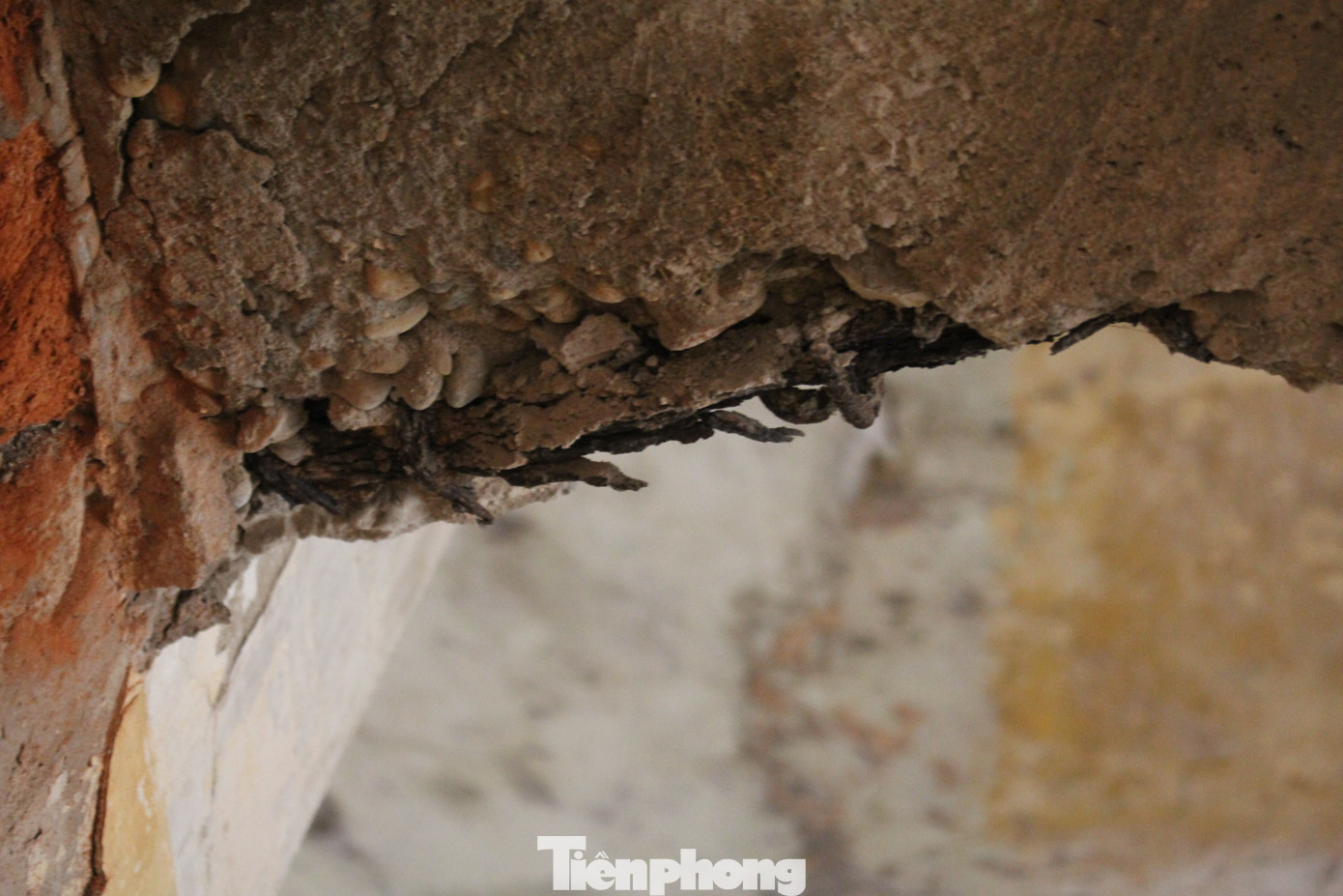 Nhiều người sinh sống trong khu nhà cho biết, chỉ bằng mắt thường cũng có thể nhận thấy phần cốt thép của hai cầu thang trong khu nhà và tường đã hoen gỉ nặng. Thậm chí, chỉ cần tác động nhẹ phần sắt này đã tự động rơi ra.