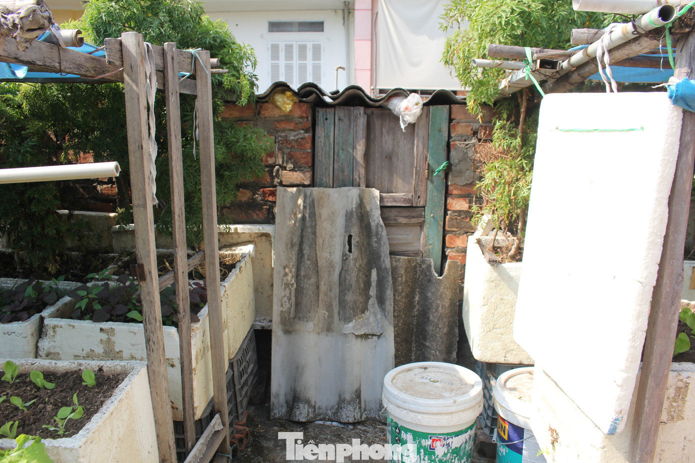 Hiện tại chỉ có một lối duy nhất dẫn lên sân thượng của khu nhà. Tại sân thượng, cư dân tận dụng diện tích bằng phẳng để trồng rau.