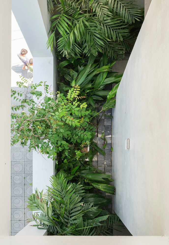 Để giảm nhiệt độ cho toàn bộ cấu trúc vào mùa hè, cũng như giữ ấm cho không gian vào mùa đông, kiến trúc sư tạo khoảng trống và trồng cây xanh ở những khu vực tiếp xúc với ánh sáng mặt trời. Những không gian đệm này góp phần làm mát và tạo cảnh quan bên trong và bên ngoài công trình. Nhờ giải pháp cây xanh, hầu hết không gian bên trong ngôi nhà đều nhận được ánh sáng và thông gió tự nhiên. Để giảm nhiệt độ cho toàn bộ cấu trúc vào mùa hè, cũng như giữ ấm cho không gian vào mùa đông, kiến trúc sư tạo khoảng trống và trồng cây xanh ở những khu vực tiếp xúc với ánh sáng mặt trời. Những không gian đệm này góp phần làm mát và tạo cảnh quan bên trong và bên ngoài công trình. Nhờ giải pháp cây xanh, hầu hết không gian bên trong ngôi nhà đều nhận được ánh sáng và thông gió tự nhiên.