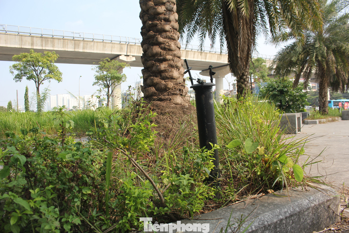 Sau nhiều năm không được chăm sóc, tình trạng xuống cấp của công viên hồ điều hòa Mai Dịch ngày càng trầm trọng hơn. Hầu hết hạng mục đèn chiếu sáng trong công viên đến nay đã bị vỡ, hỏng. Sau nhiều năm không được chăm sóc, tình trạng xuống cấp của công viên hồ điều hòa Mai Dịch ngày càng trầm trọng hơn. Hầu hết hạng mục đèn chiếu sáng trong công viên đến nay đã bị vỡ, hỏng.