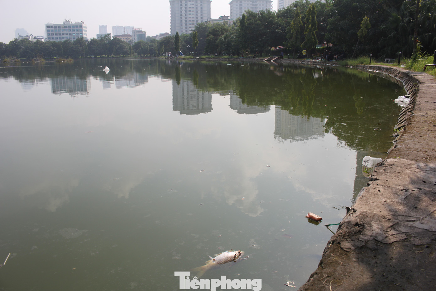 Liên quan đến Công viên hồ điều hòa Mai Dịch, những ngày gần đây, nhiều người dân sinh sống cạnh dự án liên tục phàn nàn về việc hồ nước trong công viên trở thành điểm xả rác, cá chết bốc mùi xú uế, ô nhiễm môi trường. Liên quan đến Công viên hồ điều hòa Mai Dịch, những ngày gần đây, nhiều người dân sinh sống cạnh dự án liên tục phàn nàn về việc hồ nước trong công viên trở thành điểm xả rác, cá chết bốc mùi xú uế, ô nhiễm môi trường.