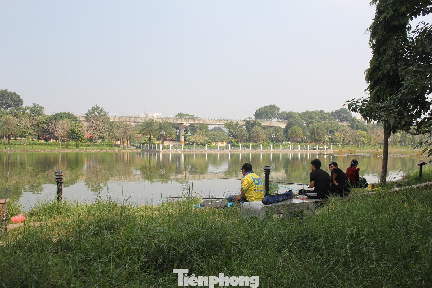 Hồ nước cỏ dại mọc um tùm, trở thành nơi câu cá, phóng sinh và xả rác. Hồ nước cỏ dại mọc um tùm, trở thành nơi câu cá, phóng sinh và xả rác.