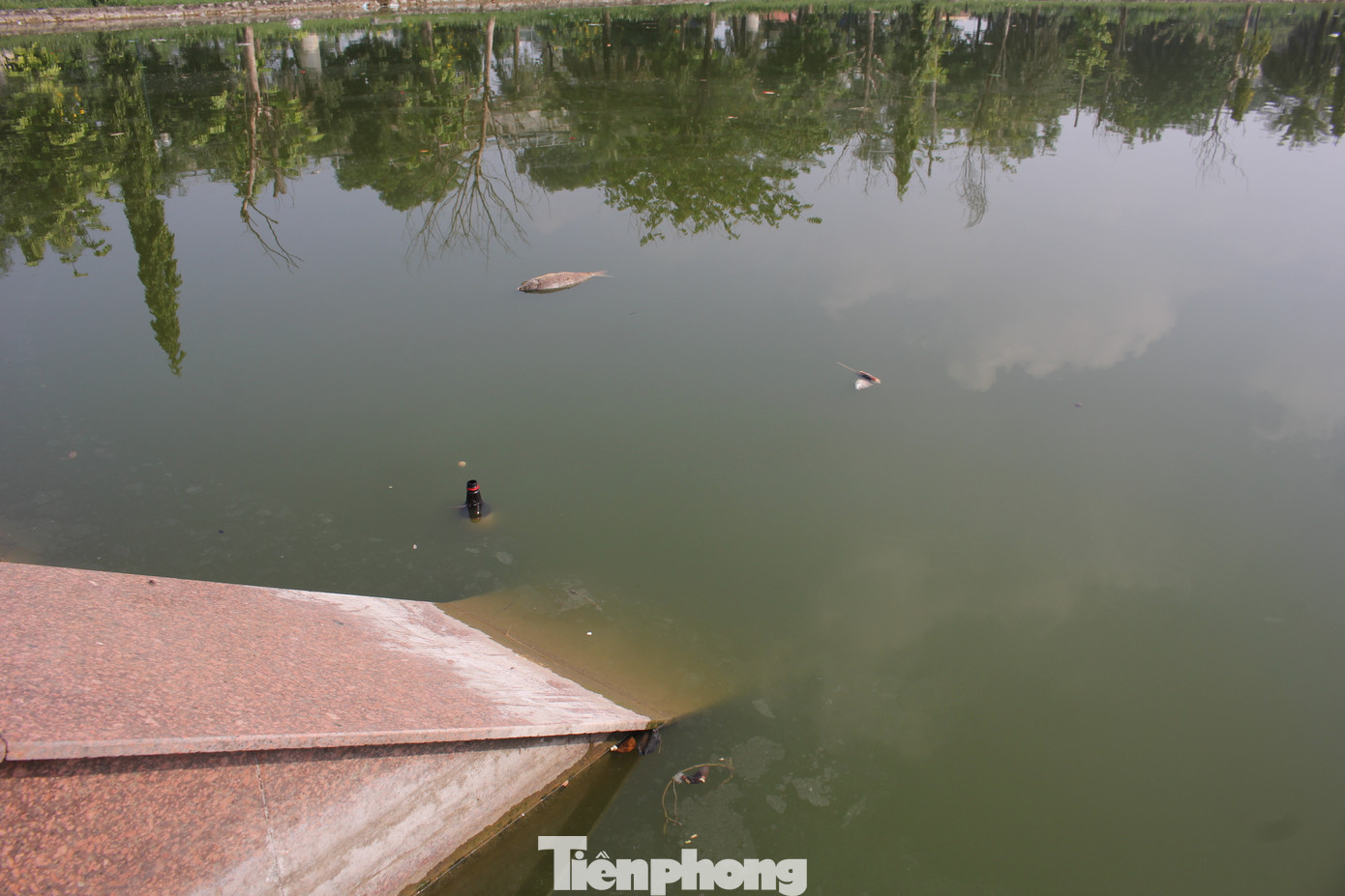 Liên quan đến Công viên hồ điều hòa Mai Dịch, những ngày gần đây, nhiều người dân sinh sống cạnh dự án liên tục phàn nàn về việc hồ nước trong công viên trở thành điểm xả rác, cá chết bốc mùi xú uế, ô nhiễm môi trường. Liên quan đến Công viên hồ điều hòa Mai Dịch, những ngày gần đây, nhiều người dân sinh sống cạnh dự án liên tục phàn nàn về việc hồ nước trong công viên trở thành điểm xả rác, cá chết bốc mùi xú uế, ô nhiễm môi trường.