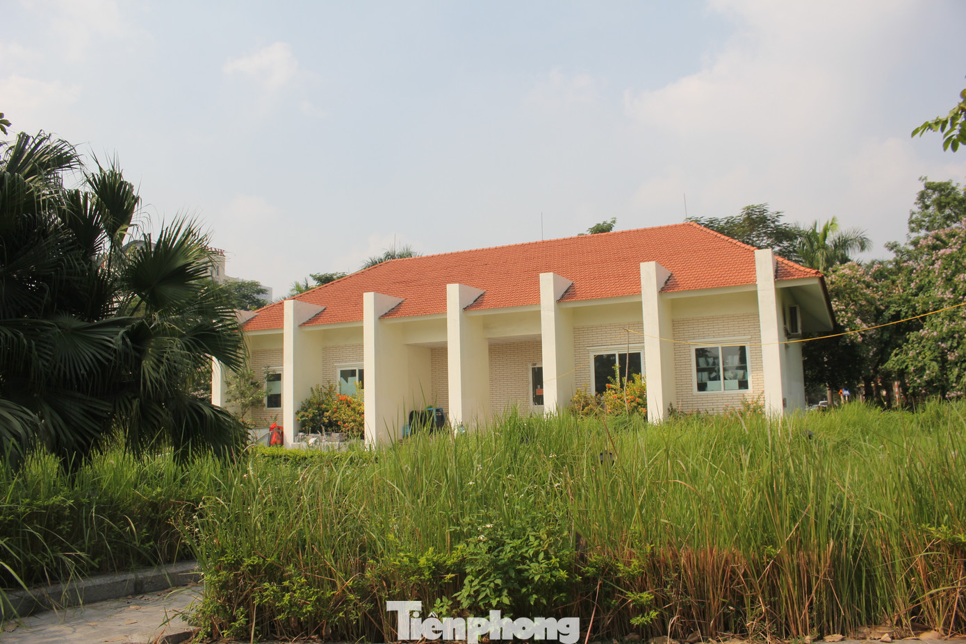 Khu nhà điều hành dự án công viên hồ điều hòa Mai Dịch cỏ dại mọc um tùm, che mất lối đi. Khu nhà điều hành dự án công viên hồ điều hòa Mai Dịch cỏ dại mọc um tùm, che mất lối đi.