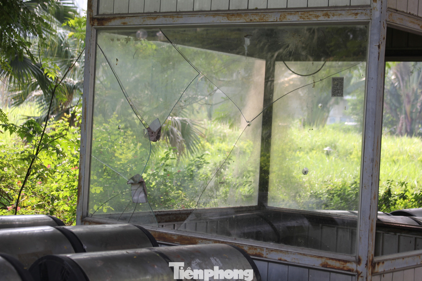 Đá lát đường đi, đá ốp bồn hoa hay bốt bảo vệ vỡ nát nhiều năm chưa được cải tạo. Đá lát đường đi, đá ốp bồn hoa hay bốt bảo vệ vỡ nát nhiều năm chưa được cải tạo.