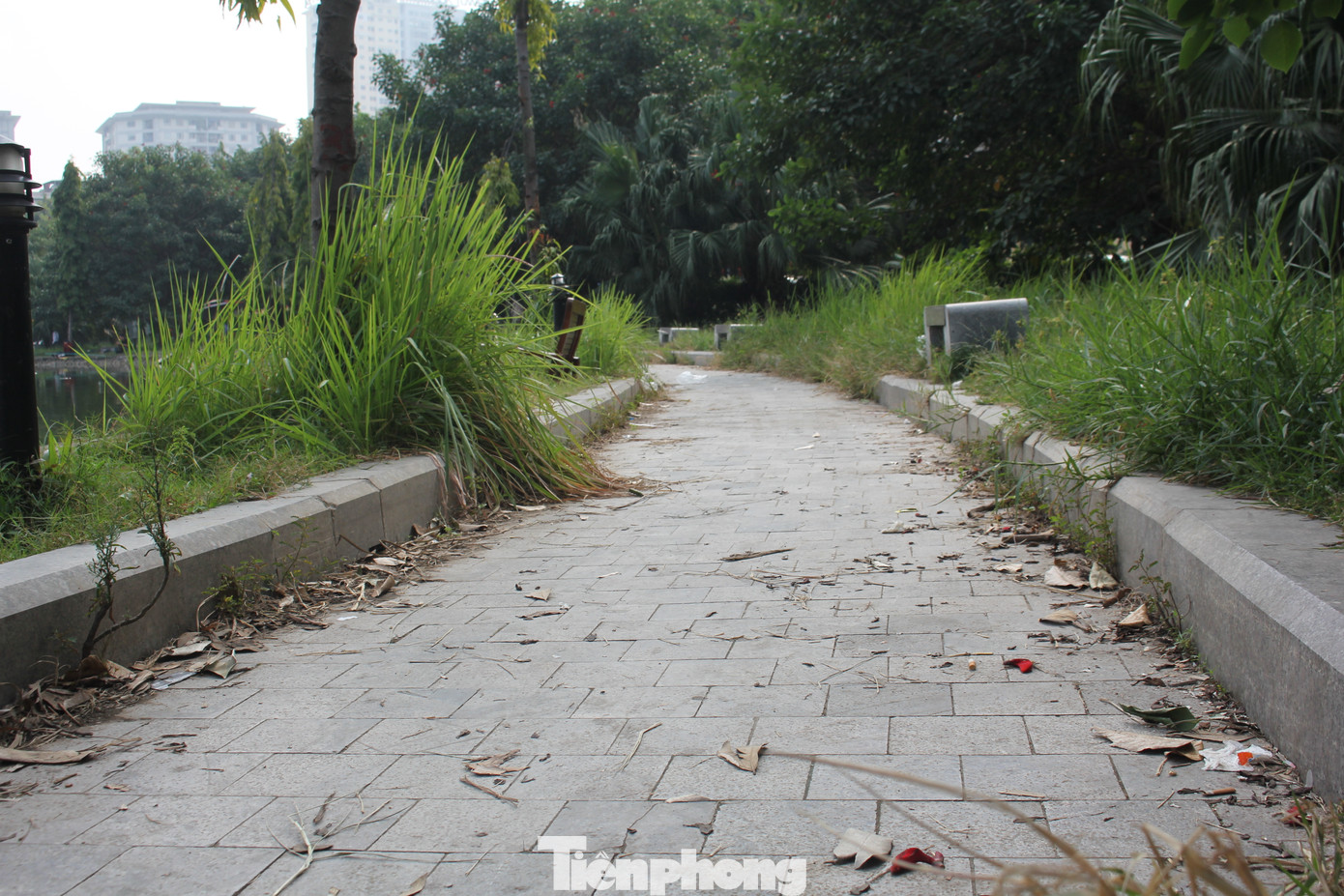 Tháng 12/2021, Báo Tiền Phong và người dân cũng từng phản ánh về tình trạng xuống cấp, không người chăm sóc của công viên này. Tháng 12/2021, Báo Tiền Phong và người dân cũng từng phản ánh về tình trạng xuống cấp, không người chăm sóc của công viên này.