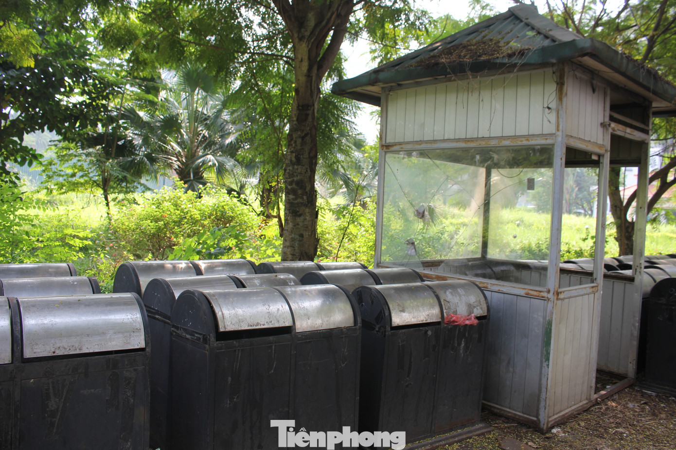 Trao đổi với Tiền Phong mới đây, ông Nguyễn Tuấn Anh, Phó Chủ tịch phường Mai Dịch cho biết: Dự án Công viên hồ điều hòa Mai Dịch được xây dựng nhiều năm trước, đến nay vẫn chưa bàn giao cho phường quản lý. Trước thực trạng xuống cấp, nhiều hạng mục không được duy trì, sửa chữa, dọn dẹp vệ sinh môi trường, chăm sóc, cắt tỉa cây xanh, thảm cỏ,… của công viên, phường đã có nhiều văn bản báo cáo cũng như đề nghị chủ đầu tư là Công ty Sài Đồng bàn giao công viên cho phường quản lý. Tuy nhiên, phía chủ tư cho biết sẽ báo cáo UBND TP về việc này. Trao đổi với Tiền Phong mới đây, ông Nguyễn Tuấn Anh, Phó Chủ tịch phường Mai Dịch cho biết: Dự án Công viên hồ điều hòa Mai Dịch được xây dựng nhiều năm trước, đến nay vẫn chưa bàn giao cho phường quản lý. Trước thực trạng xuống cấp, nhiều hạng mục không được duy trì, sửa chữa, dọn dẹp vệ sinh môi trường, chăm sóc, cắt tỉa cây xanh, thảm cỏ,… của công viên, phường đã có nhiều văn bản báo cáo cũng như đề nghị chủ đầu tư là Công ty Sài Đồng bàn giao công viên cho phường quản lý. Tuy nhiên, phía chủ tư cho biết sẽ báo cáo UBND TP về việc này.