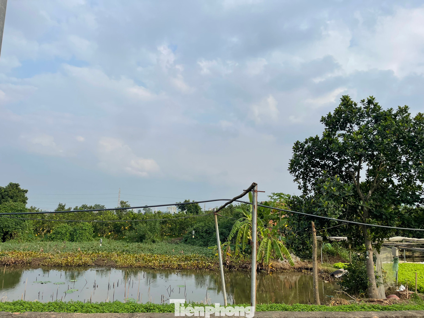 Dự án có quy mô dân số dự kiến phục vụ tái định cư khoảng 1.000 người và số người làm việc trong dự án khoảng 34 – 36.000 người. (Ảnh: Lập Đông)