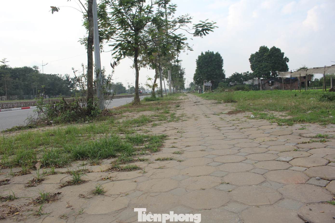 Theo điều chỉnh nhiệm vụ quy hoạch, phía Bắc dự án giáp khu công nghiệp Thăng Long; phía Tây giáp tuyến đường quy hoạch có mặt cắt ngang 40m; phía Tây Bắc giáp khu đất nông nghiệp, trồng hoa màu; phía Đông giáp tuyến đường quy hoạch mặt cắt ngang 40m và khu dân cư; và phía Nam giáp tuyến đường quy hoạch có mặt cắt ngang 60m. (Ảnh: Lập Đông)