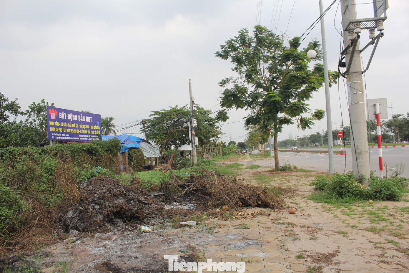 Mặc dù từng được đánh giá là “đại dự án của các dự án” với tham vọng lớn thu về hàng tỷ USD từ các nhà đầu tư thứ phát song sau 15 năm, vẫn chưa có hạng mục nào trong khu công nghệ cao sinh học HaBiotech được triển khai.