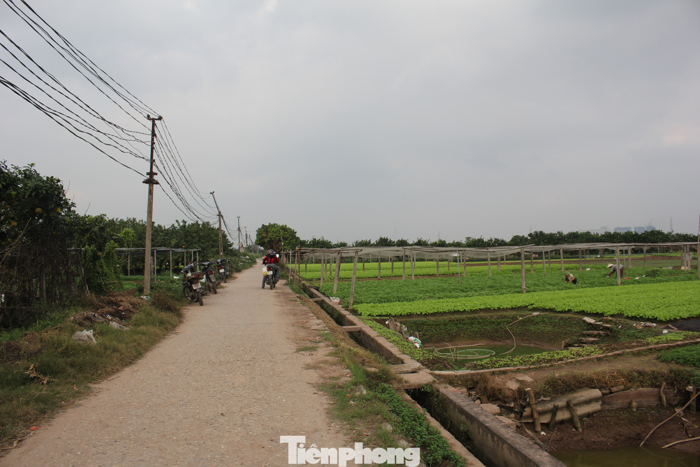 Mặc dù từng được đánh giá là “đại dự án của các dự án” với tham vọng lớn thu về hàng tỷ USD từ các nhà đầu tư thứ phát song sau 15 năm, vẫn chưa có hạng mục nào trong khu công nghệ cao sinh học HaBiotech được triển khai.