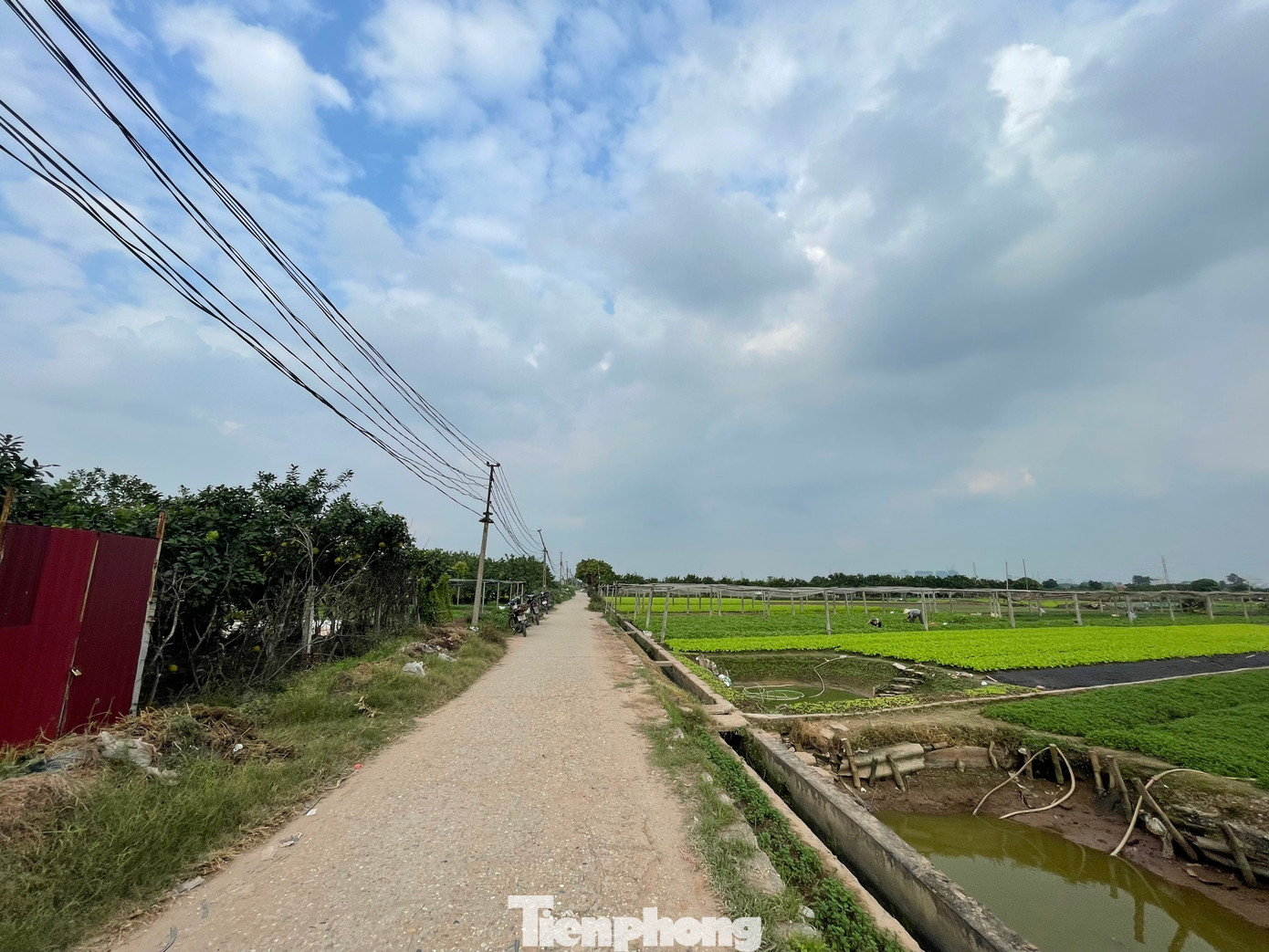 Được biết, Khu công nghệ cao sinh học Hà Nội có tổng vốn đầu tư trên 1 tỷ USD. Trong đó, 250 triệu USD dành cho hạ tầng kỹ thuật và một số công trình dịch vụ, chung cư cao tầng, ký túc xá; 800 triệu USD cho các thiết bị đặc chủng như đầu tư phòng thí nghiệm, trung tâm, viện nghiên cứu, trường đại học...(Ảnh: Lập Đông)