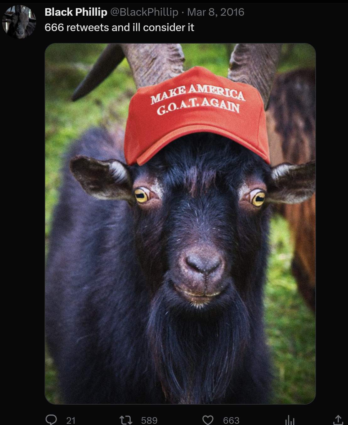 Chú dê đen Black Phillip từng có thời gian hoạt động rất năng nổ trên Twitter. Mặc dù là một chú dê, Black Phillip là nhân vật được yêu thích và được khen ngợi ở khả năng diễn xuất.