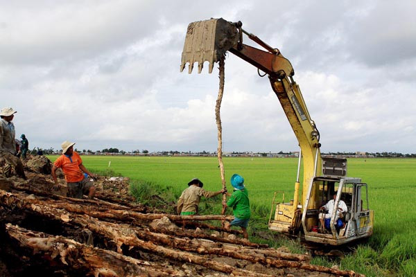 Gia cố đê báo cứu lúa thu đông tại TT Tràm Chim, huyện Tam Nông, tỉnh Đồng Tháp