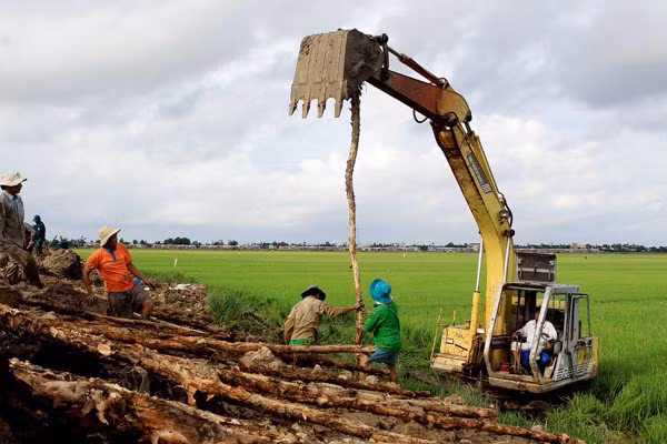 Gia cố đê báo cứu lúa thu đông tại TT Tràm Chim, huyện Tam Nông, tỉnh Đồng Tháp