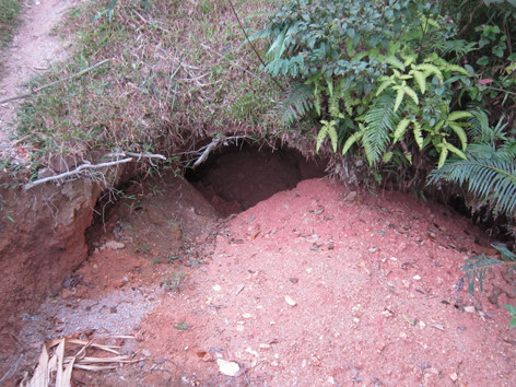 Một hố đào mới. Một hố đào mới