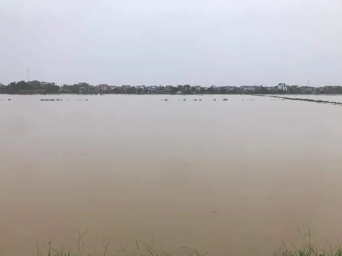 Lũ về trên sông Tích tại Quốc Oai vượt báo động cấp 3. Ảnh: Hoàng Sơn.