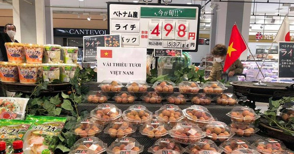 Theo các doanh nghiệp, giá vải thiều Việt Nam lên kệ siêu thị Nhật năm nay có thể bán tới 500.000-600.000 đồng/kg