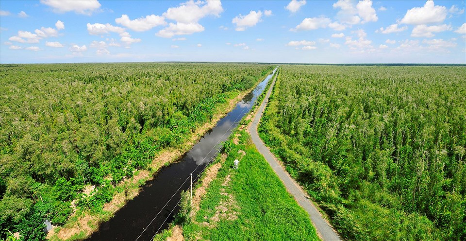 Bộ NN&amp;PTNT đề xuất tiếp tục bán 1 triệu tấn carbon cho WB.