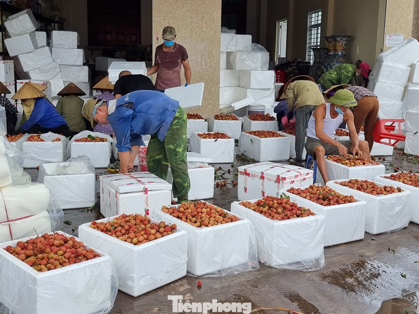 Dự tính xuất khẩu vải có thể giảm cả nghìn tỷ đồng trong năm nay.